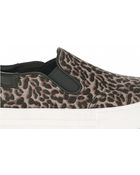 Ash Printed Leopard Slip On Trainer - Lyst