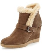 Aquatalia Carlotta Faux-Fur Lined Suede Wedge Ankle Boot - Lyst
