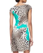 Roberto Cavalli Animal Print Dress - Lyst