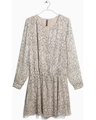 Mango Snake Print Dress - Lyst