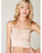 Free People Rib and Lace Crop Cami - Lyst