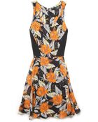 Proenza Schouler Sleeveless Full-skirt Dress - Lyst