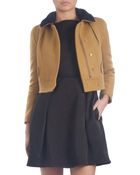Carven Contrast Collar Moto Jacket - Lyst