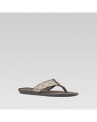 Gucci Thong Sandal with Signature Web Detail - Lyst