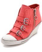 Ash Ginger 3 Buckle Sneakers - Lyst
