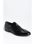Dolce & Gabbana Wingtip - Lyst