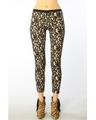 Stylestalker The Panther Lace Pants - Lyst