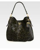 Prada Cavallino Leopard Print Hair Calf Hobo - Lyst