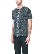 Zara Animal Print T-Shirt - Lyst