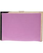 Nina Ricci Small Frame Clutch - Lyst