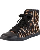 Lanvin Leopardprint Calf Hair Hitop Sneaker - Lyst