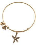 ALEX AND ANI Starfish Bangle - Lyst