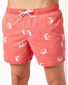 Asos Swim Shorts With Swallow Print - Lyst