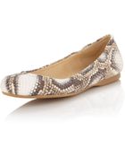 Stuart Weitzman Dotsnot Leather Ballerina Flat Oat - Lyst