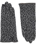 Echo Cheetah Print Gloves - Lyst