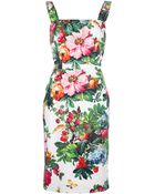 Dolce & Gabbana Floral Print Sleeveless Dress - Lyst