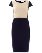 Max Mara Guelfi Dress - Lyst