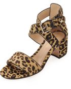 Gianvito Rossi Leopardprint Calf Hair Lowheel Sandal - Lyst
