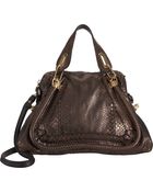 Chloé Python Medium Paraty Satchel with Strap - Lyst
