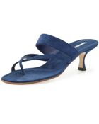 Manolo Blahnik Susa Suede Lowheel Thong Sandal Blue - Lyst
