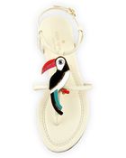 Kate Spade Toucan Flat Thong Sandal - Lyst