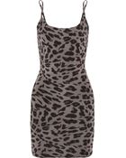 Yummie By Heather Thomson Carine Leopard-Print Stretch Slip - Lyst