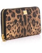 Dolce & Gabbana Leopard Print Leather Wallet - Lyst