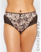 Elomi Lexi Brief - Lyst