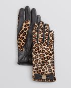 Kate Spade Cheetah-Print Haircalf Tech Gloves - Lyst