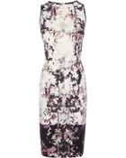 Coast Jeya Printed Dress - Lyst