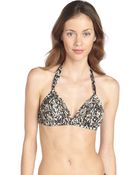 Badgley Mischka Brown And Ivory Stretch 'Zara' Draped Halter Bikini Top - Lyst