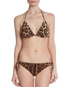 Dolce & Gabbana Leopardprint Triangle Bikini Top - Lyst