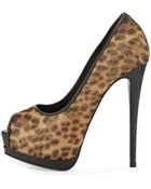 Giuseppe Zanotti Leopard-Print Calf Hair Platform Pump - Lyst