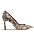 Coach Teddie Pump - Lyst