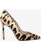 Barbara Bui Leopard Print Calfhair Pump - Lyst