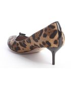 Gucci Light Brown Leopard Print Calf Hair Kitten Heels - Lyst