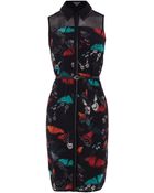 Coast Kasa Butterfly Print Dress - Lyst