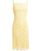 Dolce & Gabbana Floral Lace Cotton Blend Dress - Lyst
