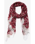 Express Overlapping Leopard Print Quad Scarf - Lyst