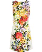 Dolce & Gabbana Floral Jaquard Dress - Lyst
