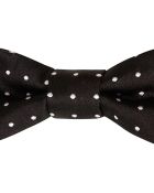 Dolce & Gabbana Polkadot Silk Bow Tie - Lyst