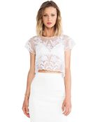 Lovers + Friends Hey Love Crop Top - Lyst