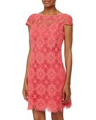 Ali Ro Cap-Sleeve Lace Shift Dress - Lyst