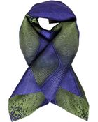 Roberto Cavalli Oblong Scarf - Lyst