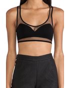 Stylestalker Dodger Bra Top - Lyst