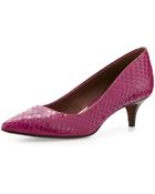 Donald J Pliner Franc Snake Kittenheel Pump - Lyst