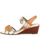 Anyi Lu Daisy Snakeprint Wedge Sandal - Lyst