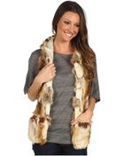 Spirit Hoods Jack Rabbit Full Hood - Lyst