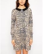 Oasis Animal Collar Knitted Dress - Lyst