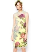 Asos Salon Shift Dress In Organza With Applique Flowers - Lyst